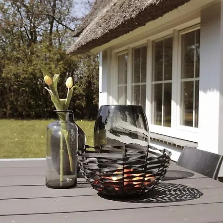 Dutchen Waddenduyn Den Burg