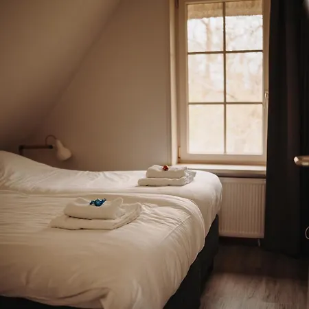 Dutchen Waddenduyn Villa *