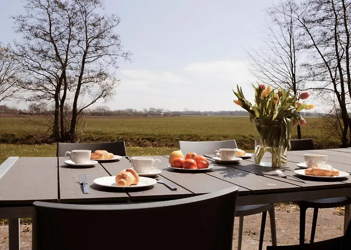 Dutchen Waddenduyn *