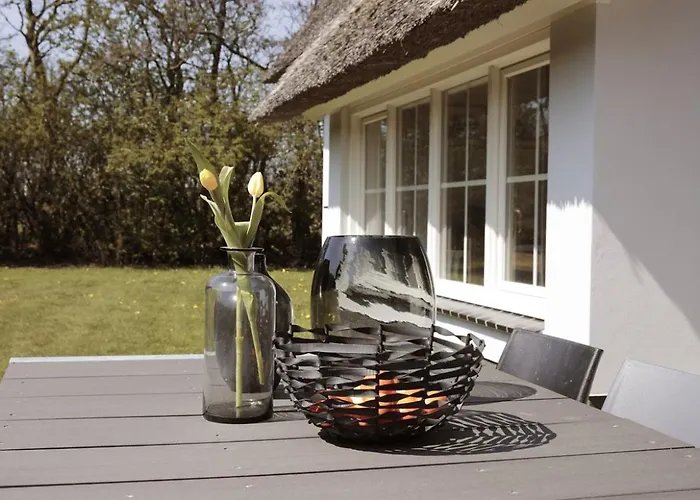 Dutchen Waddenduyn Den Burg